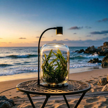 2-in-1 Full-Spectrum Grow Light with Glass Terrarium - product image 7