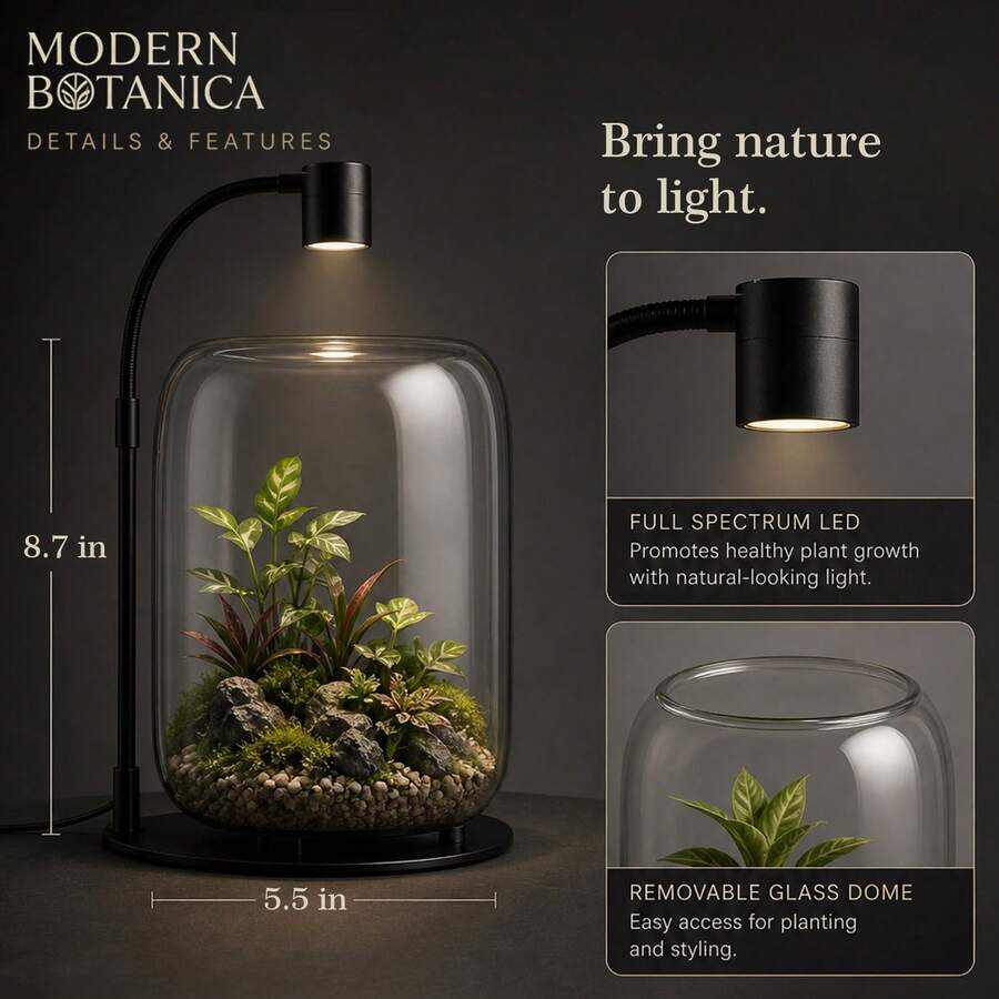 2-in-1 Full-Spectrum Grow Light with Glass Terrarium - product image 9